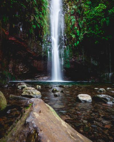 Experience the lush beauty of 25 Fontes Falls surrounded by dense greenery in Madeira's Rabacal region.