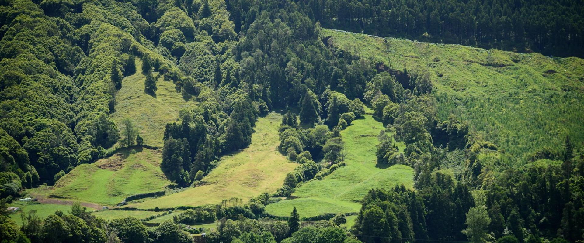 Açores Adventure