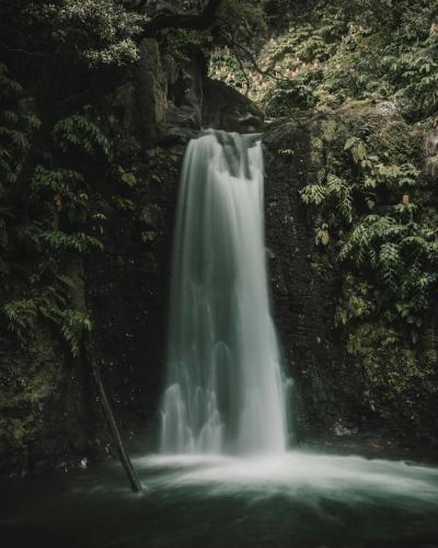 Waterfall cascading into a forest pool in the Azores