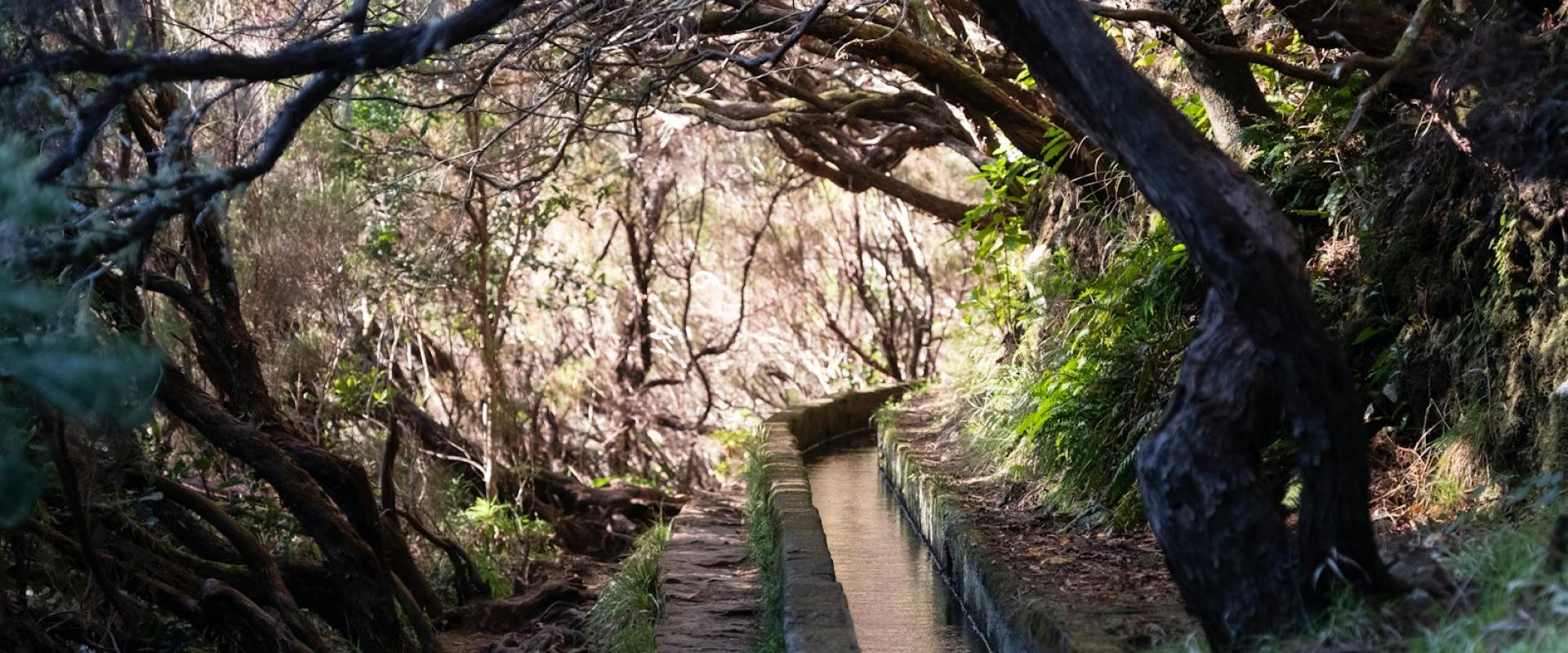 Madeira’s Autumn Levada Walks
