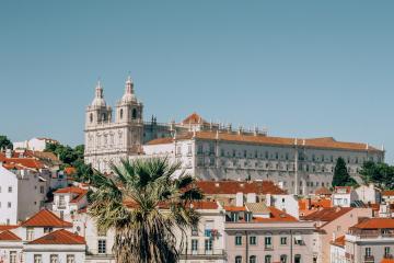 A sunlit view of Lisbon’s Alfama district featuring the white twin-towered facade of the Sé de Lisboa (Lisbon Cathedral) rising above terracotta-roofed buildings and a foreground palm tree under a clear blue sky.