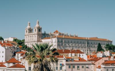 A sunlit view of Lisbon’s Alfama district featuring the white twin-towered facade of the Sé de Lisboa (Lisbon Cathedral) rising above terracotta-roofed buildings and a foreground palm tree under a clear blue sky.
