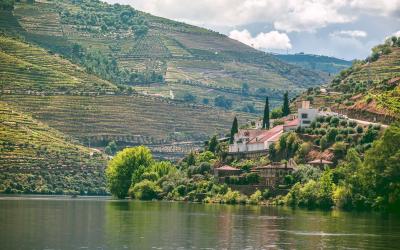 A white-walled estate with a red-tiled roof nestled on a steep, terraced hillside overlooking a wide river, with extensive vineyards climbing the slopes under a partly cloudy sky.