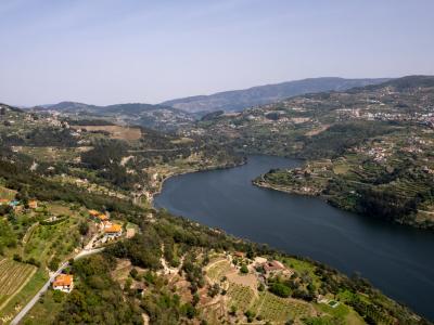 Douro Valley Wine Cruises for Couples