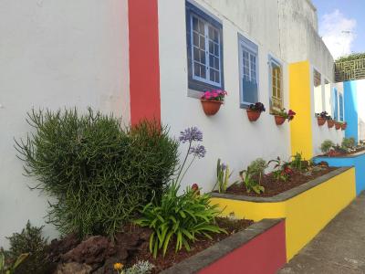 A white building facade with colorful architectural accents (red, yellow, blue) and window boxes holding pink flowers, alongside a raised garden bed with greenery and purple agapanthus blooms.