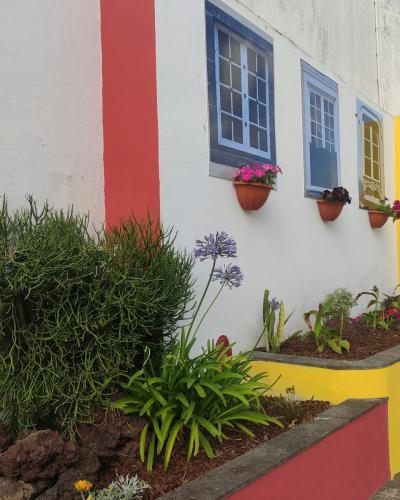 A white building facade with colorful architectural accents (red, yellow, blue) and window boxes holding pink flowers, alongside a raised garden bed with greenery and purple agapanthus blooms.