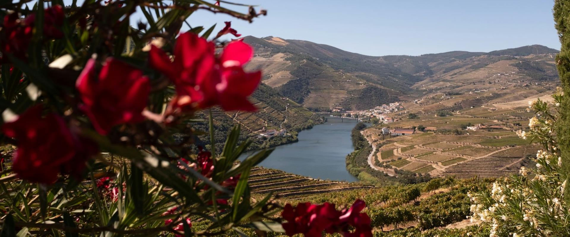 Wine Tasting Tours