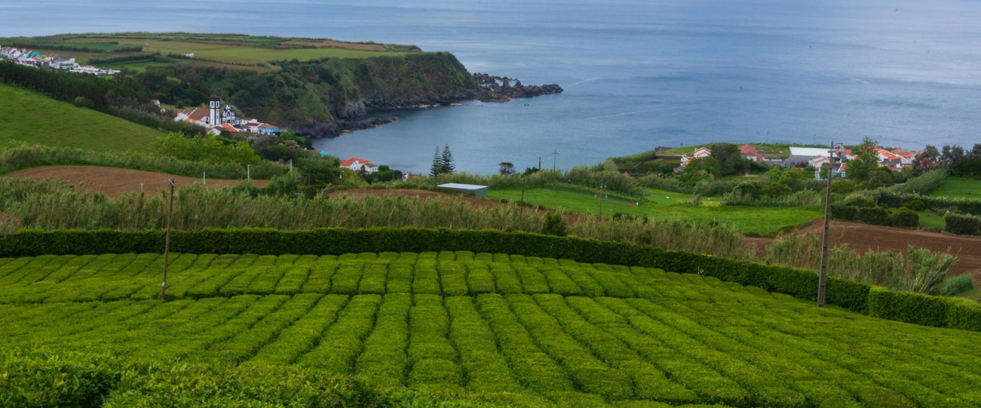 Lush Hills, Rolling Pastures, And Quaint Cottages Of São Miguel ('Green Island' Landscape)