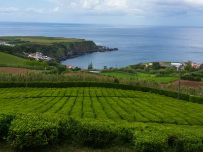 Green hills and crater lakes of Sete Cidades on Sao Miguel island, Azores