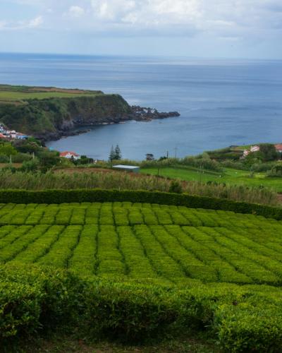 Green hills and crater lakes of Sete Cidades on Sao Miguel island, Azores