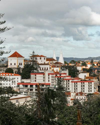 A scenic view of a hillside town featuring white buildings with red-tiled roofs, a prominent church with a red-tiled dome and white spire, and a large pine tree in the foreground.