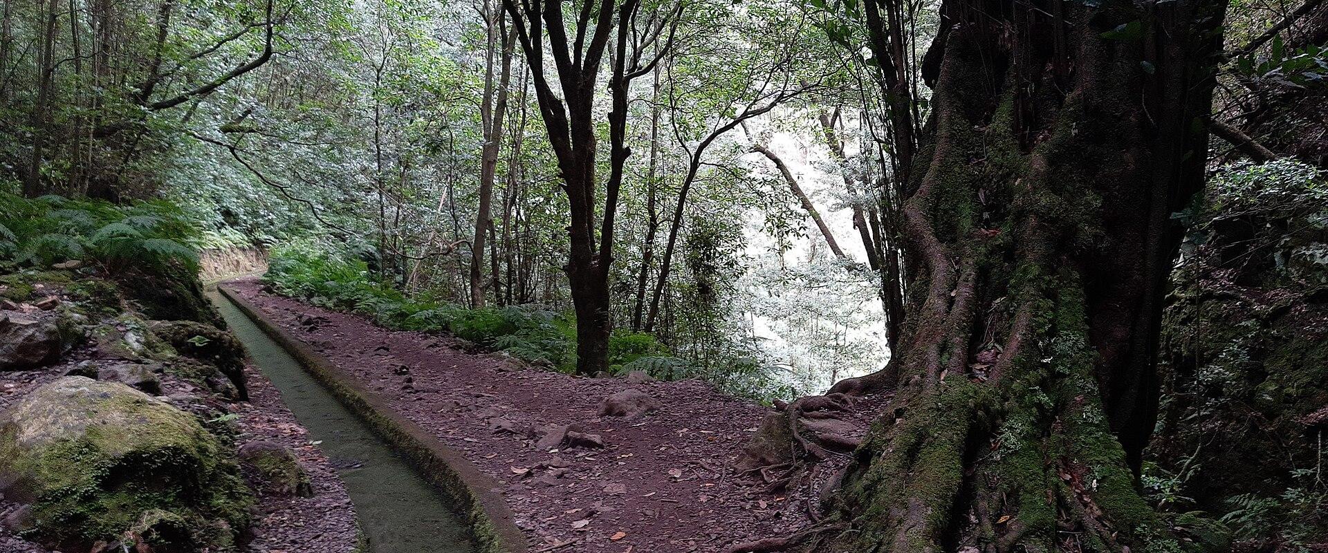 Levada Do Rei (PR 18) Trail