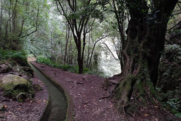 Levada Do Rei (PR 18) Trail