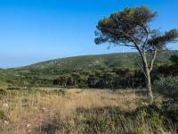 Natural Viewpoint Of Serra De Montejunto