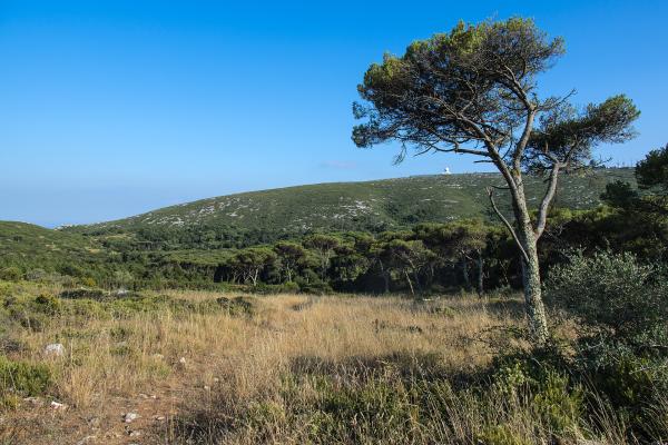 Natural Viewpoint Of Serra De Montejunto