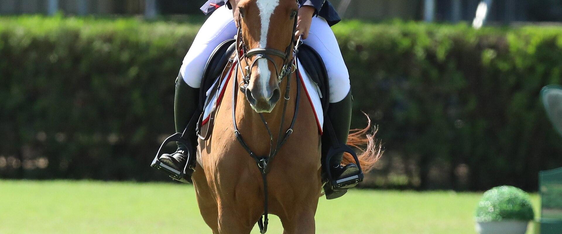 2018-10-09 Equestrian Jumping International Team at the 2018 Summer Youth Olympics – Round 2 by Sandro Halank–142