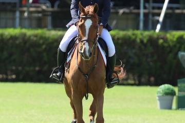 Activities & Adventure in Cascais