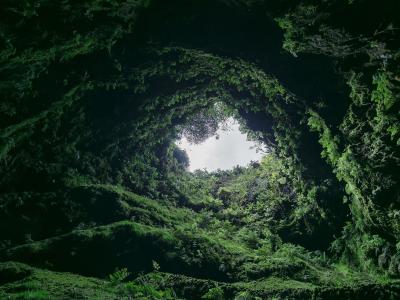 A low-angle view looking up from inside a deep, moss-covered volcanic crater or cave, showing a circular opening of sky framed by lush green vegetation and ferns.