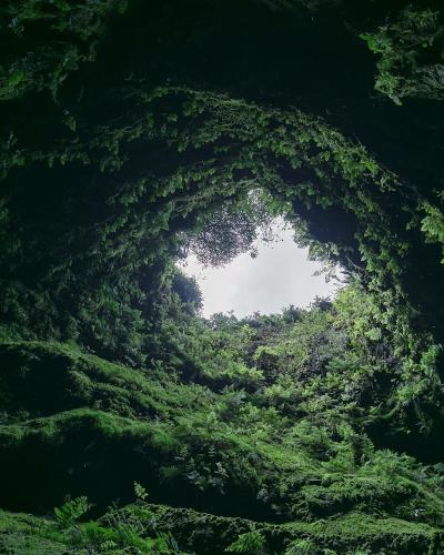 A low-angle view looking up from inside a deep, moss-covered volcanic crater or cave, showing a circular opening of sky framed by lush green vegetation and ferns.