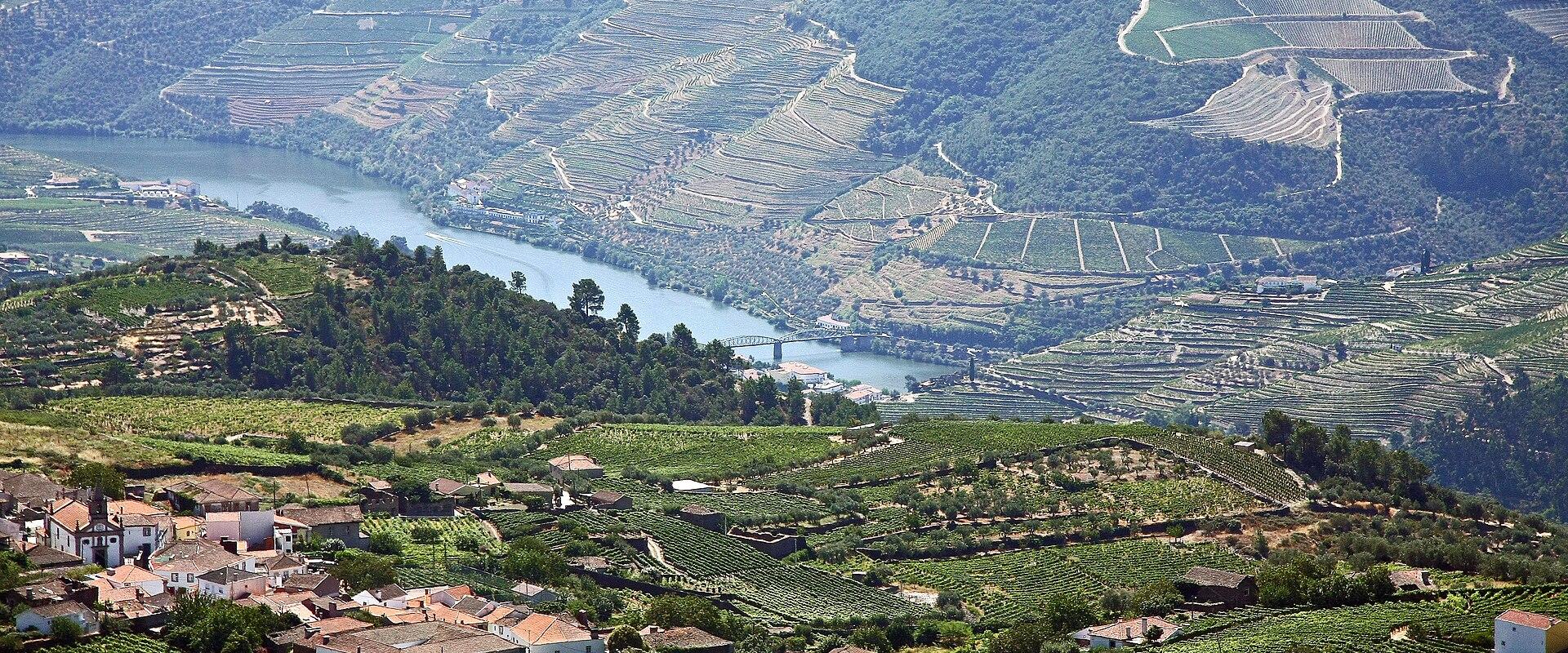 Douro Valley (View)