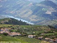 Douro Valley (View)