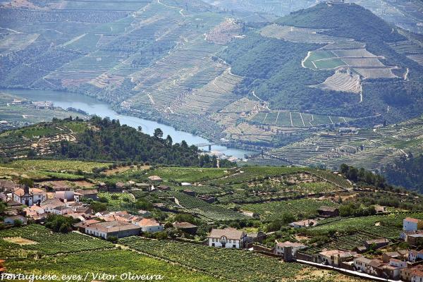 Douro Valley (View)