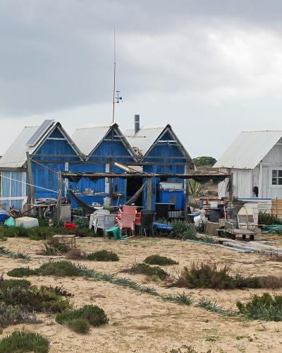 A cluster of rustic, blue and white wooden cabins and sheds situated on a sandy, scrub-covered dune landscape with a wooden boardwalk path leading towards them.