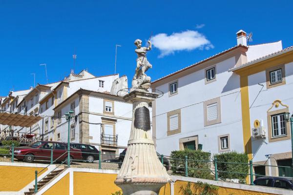 Mineral Water Fountains (300 Local Fountains)