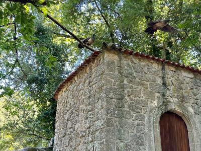 A small stone chapel among the trees of Parque do Fontelo in Viseu