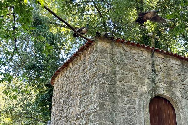 Fontelo Park