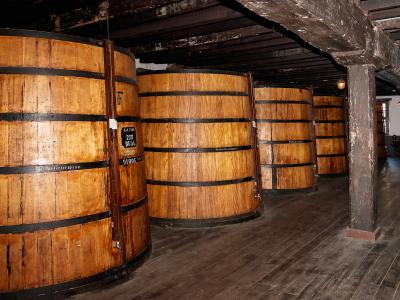 The image shows a row of large wooden wine casks inside a cellar with dark wooden beams and flooring.