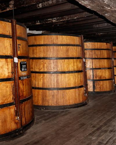 The image shows a row of large wooden wine casks inside a cellar with dark wooden beams and flooring.