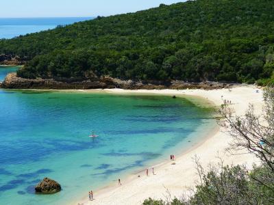 A high-angle view of a secluded sandy cove with turquoise water, a paddleboarder, and a densely forested hill rising directly behind the beach.
