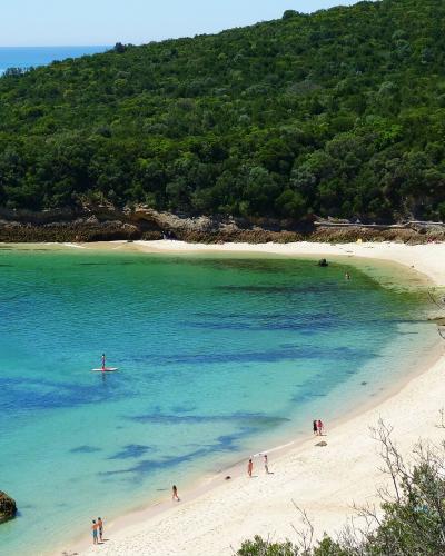 A high-angle view of a secluded sandy cove with turquoise water, a paddleboarder, and a densely forested hill rising directly behind the beach.