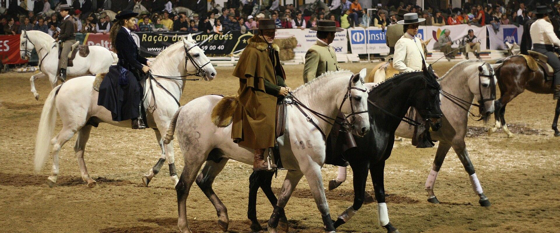 Lusitano Horse Fair
