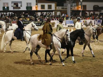 Riders on Lusitano horses in the arena at the Golegã horse fair
