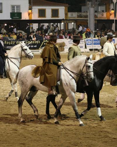 Riders on Lusitano horses in the arena at the Golegã horse fair