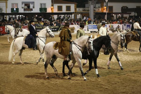 Lusitano Horse Fair