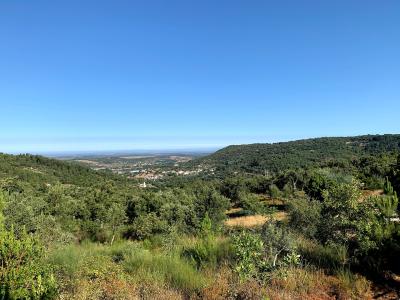 Wooded hills of the Serra de São Mamede natural park under a clear sky