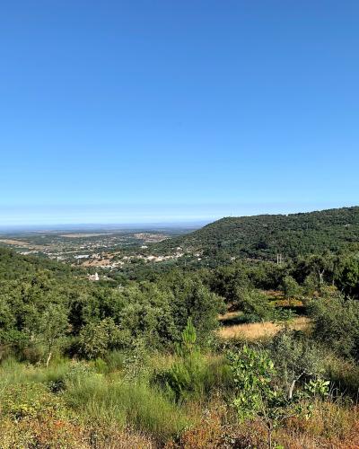 Wooded hills of the Serra de São Mamede natural park under a clear sky