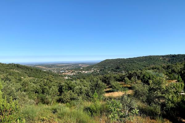 Parque Natural Da Serra De São Mamede