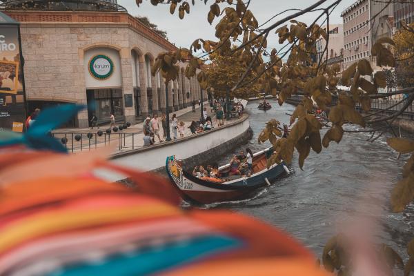 Moliceiro Boat Ride