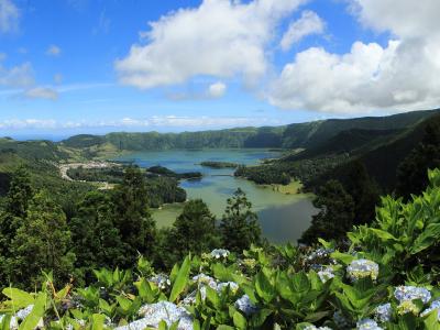 A panoramic landscape view of a large volcanic crater containing two distinct lakes with different water colors, surrounded by green hills and vegetation, with blue hydrangeas in the foreground.