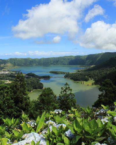 A panoramic landscape view of a large volcanic crater containing two distinct lakes with different water colors, surrounded by green hills and vegetation, with blue hydrangeas in the foreground.