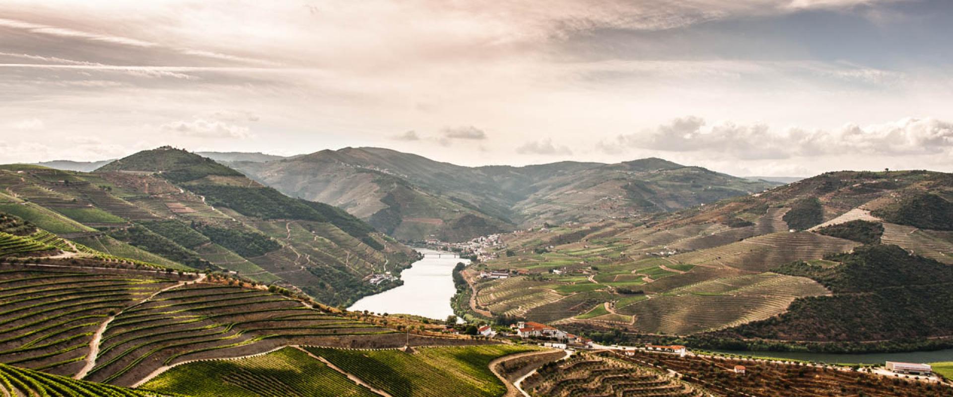 Terraced vineyards descending to the Douro River in the Alto Douro wine region