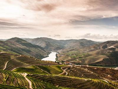 Terraced vineyards descending to the Douro River in the Alto Douro wine region