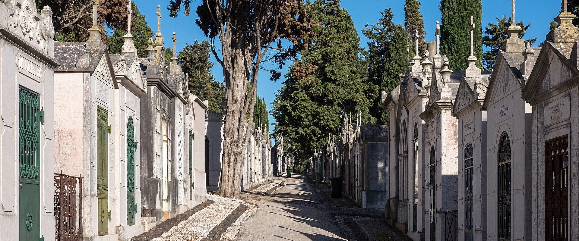 Prazeres Cemetery (Cemitério Dos Prazeres)