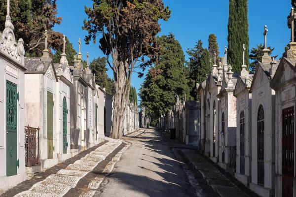 Prazeres Cemetery (Cemitério Dos Prazeres)