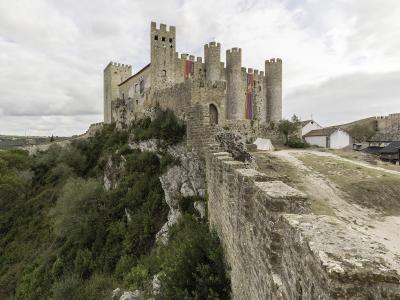 A medieval stone castle with multiple cylindrical towers and crenellated walls situated on a rocky hilltop, featuring large vertical banners hanging from the facade and a stone wall leading up to the entrance.
