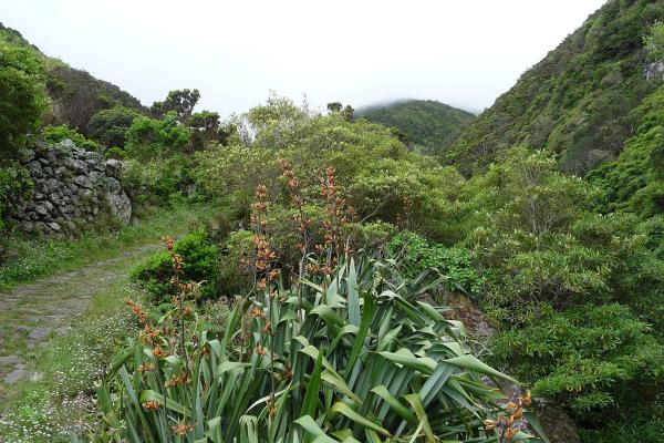 Coastal Hiking Paths
